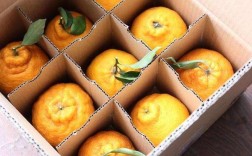 柑橘的保存方法？（柑橘存放方法）