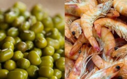 虾和绿豆可以同时吃吗？虾跟哪些菜不能同吃