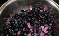 冰糖蓝莓怎么腌制方法？（冰糖蓝莓怎么制作方法）