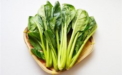 好消化的青菜有哪些及十大容易消化的蔬菜(十大容易消化的蔬菜)
