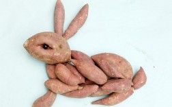 兔子吃的食物有哪些及兔子吃的食物有哪些红薯(兔子吃的食物有哪些红薯)