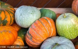 秋季的作物有哪些？秋天常见的蔬菜有哪些