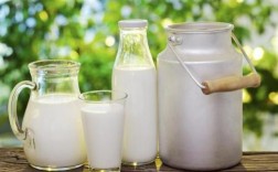 奶的正确吃法和方法？（牛奶怎么喝正确方法如下）