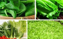 哪些绿叶蔬菜有刺激性及其健康影响(哪些绿叶蔬菜有刺激性的)