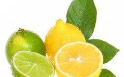 和柠檬对应的水果有什么？柠檬与哪些水果相克