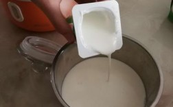 自制酸奶拿什么做菌种？（酸奶的制作方法用菌种）