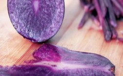 紫色蔬菜有哪些？哪些蔬菜是紫的