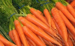 胡萝卜好处和营养价值？胡萝卜的营养价值有哪些
