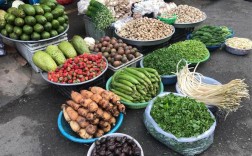 越南的蔬菜有哪些及越南的蔬菜有哪些品种(越南的蔬菜有哪些品种)