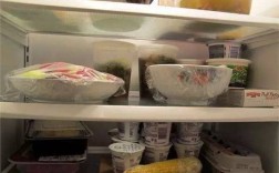 剩菜剩饭为什么要套保鲜袋才能放入冰箱？哪些食物适合放冰箱里