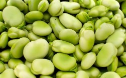 蚕豆类食品是指哪几种？含有蚕豆成分的食品有哪些