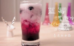 蓝莓气泡水饮品的做法？（蓝莓气泡水的制作方法）