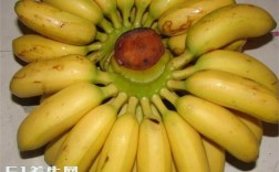 佛手和香蕉有什么区别？（入药香蕉的制作方法）