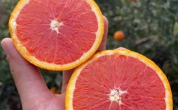 血橙有什么营养价值？血橙都有哪些营养