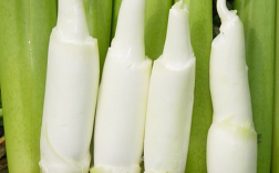 茭白是碳水还是蔬菜？茭白有哪些营养成分