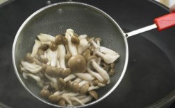 为什么蘑菇一煮会有那么多水分？水菇含哪些营养