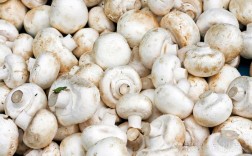 白色的蘑菇有哪几种？白色能吃的蘑菇有哪些