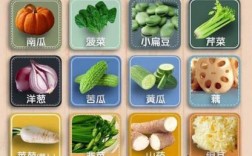 糖尿病患者应该选择哪些蔬菜和水果(糖尿病主要吃哪些蔬菜和水果)