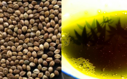 麻籽油是什么植物提炼的啊？吃麻子油有哪些好处