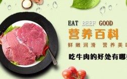 牛肉的主要成分是什么？牛肉含哪些维生素