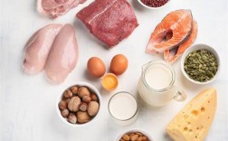 蛋白高营养易消化食物有哪些？补蛋白最好的食物有哪些食物