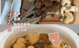 猴头菇养胃汤煲法？家常养胃汤有哪些