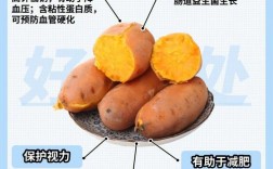 黄色红薯和白色红薯的营养价值？烤红薯营养价值有哪些