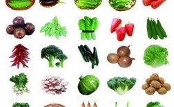20种蔬菜名称？果类蔬菜有哪些