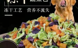 狗狗每天吃狗粮青菜可以吗？制作狗粮需要哪些蔬菜