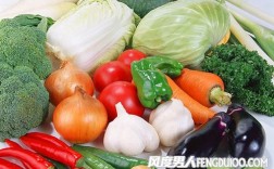 蔬菜能不能直接冷藏？哪些食品不宜吃的太新鲜 .鲜蔬菜