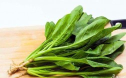 对肾脏病有益的蔬菜？肾病吃哪些蔬菜