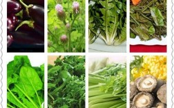 高血压早上吃什么最好？高血压吃哪些蔬菜最佳