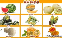 我想咨询下什么水果或蔬菜之类的祛湿祛痰？化痰的水果蔬菜有哪些