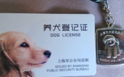 上海办狗证是多少钱？（私房家里驱虫的方法）
