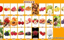 寒凉水果和食物有哪些及寒凉水果和食物有哪些图片(寒凉水果和食物有哪些图片)
