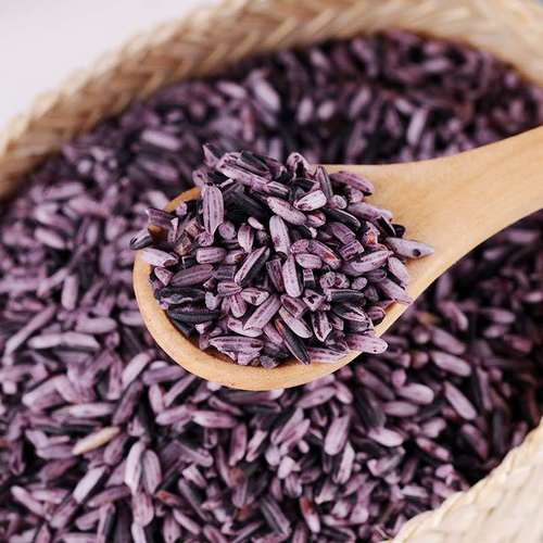 紫香米的制作方法及好吃的做法(紫香米有哪些做法好吃)-图3