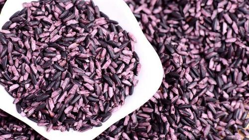 紫香米的制作方法及好吃的做法(紫香米有哪些做法好吃)-图2