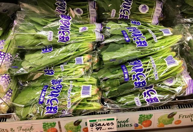 日本蔬菜有哪些及日本蔬菜有哪些品种(日本蔬菜有哪些品种)-图2