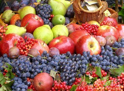 含胆固醇高的水果有哪些及胆固醇最怕的三种水果(胆固醇最怕的三种水果)-图3