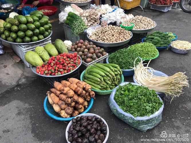 越南的蔬菜有哪些及越南的蔬菜有哪些品种(越南的蔬菜有哪些品种)-图1