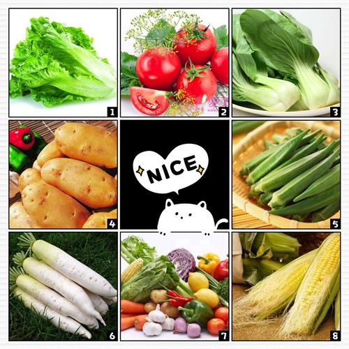 有特殊气味的蔬菜有哪些及有特殊气味的蔬菜有哪些图片(有特殊气味的蔬菜有哪些图片)-图1
