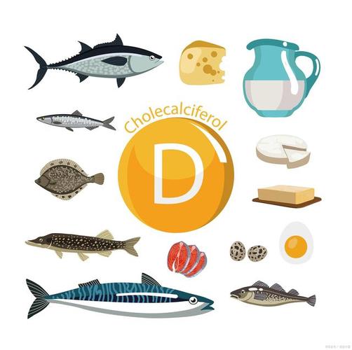 含维生素D最高的食物有哪些？——探索维生素D的重要性和丰富来源-图2