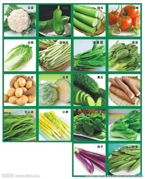 有什么外号好听蔬菜或水果的名？有哪些菜的名称和图片大全集-图2