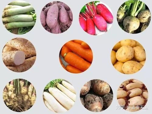 茎类蔬菜有哪些？茎类蔬菜有哪些？豆制品蔬菜都有哪些种类-图2