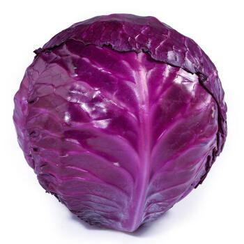 紫色叶菜都有什么品种？秋天紫色蔬菜有哪些图片大全-图2