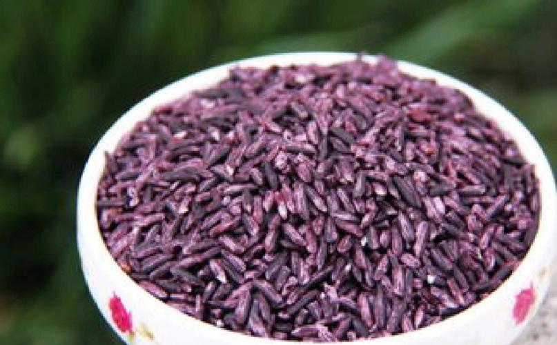 紫米是什么米？紫米有哪些营养价值-图3