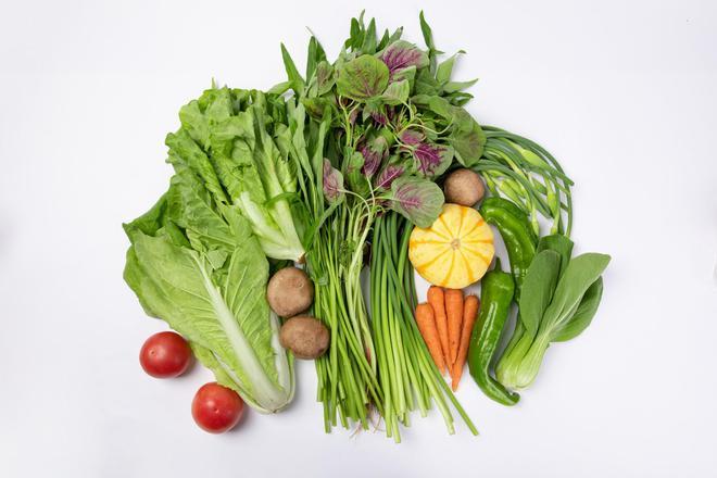 吃茎的菜有哪些？吃什么纤维食物有哪些食物有哪些食物有哪些食物-图3
