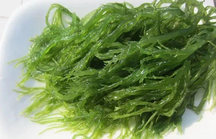 吃的海藻是什么样的？可以吃的海藻有哪些-图1