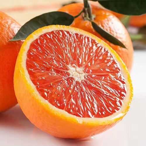 什么地方的血橙最好吃？（血橙哪里好吃）-图2